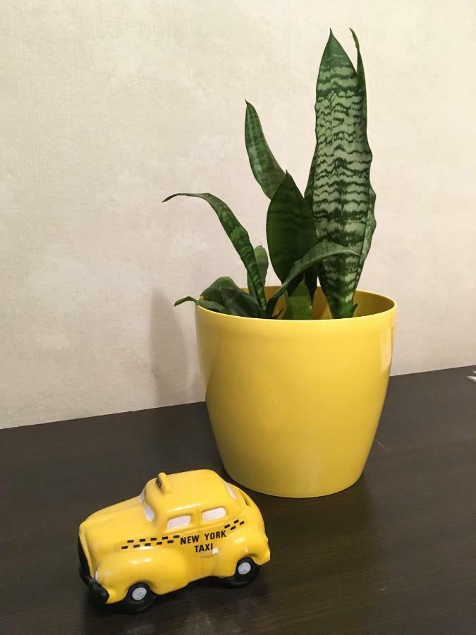 Sunflower Apartment Near Kiev Airport & Railway Station & Center City! エクステリア 写真